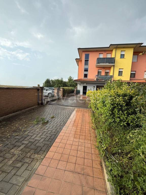 immagine annuncio 1 di 14