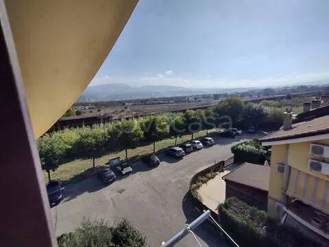immagine annuncio 12 di 13