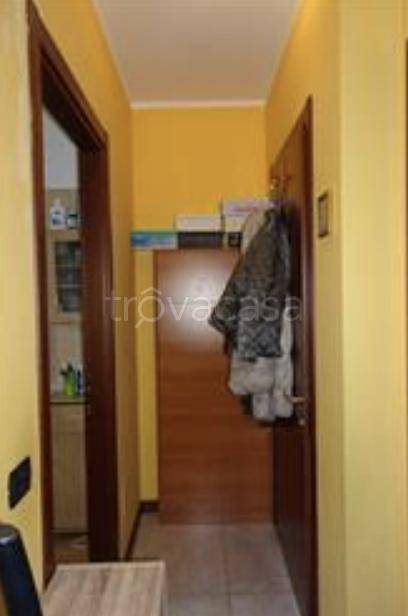 immagine annuncio 5 di 14