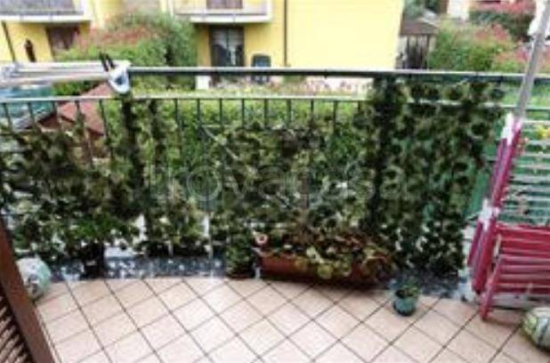 immagine annuncio 8 di 14