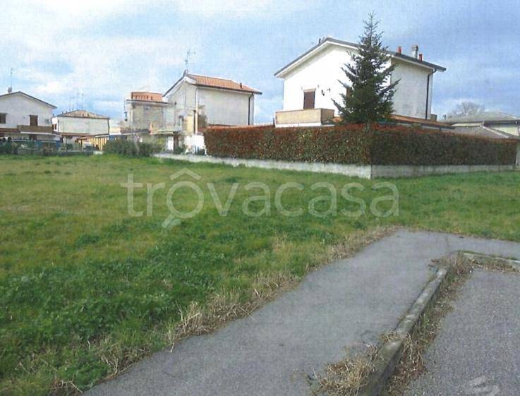 immagine annuncio 7 di 12