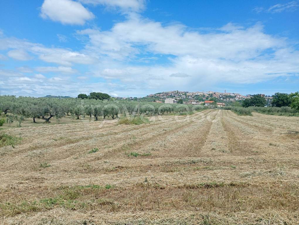 immagine annuncio 3 di 4