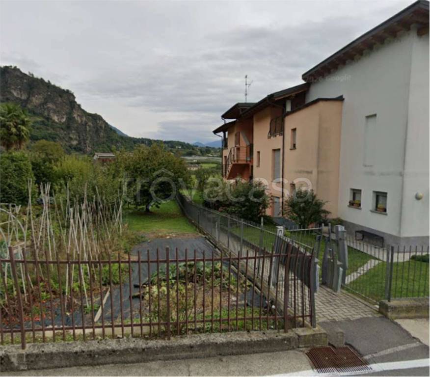 immagine annuncio 3 di 14