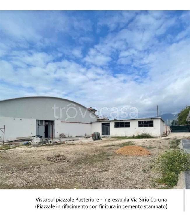immagine annuncio 2 di 7