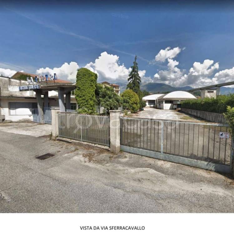 immagine annuncio 4 di 7