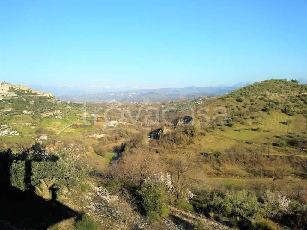 immagine annuncio 7 di 14