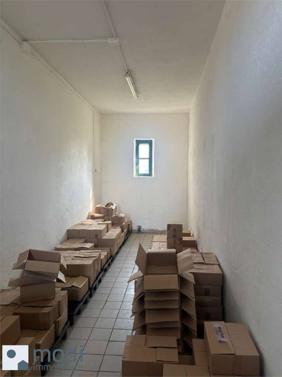 immagine annuncio 7 di 14