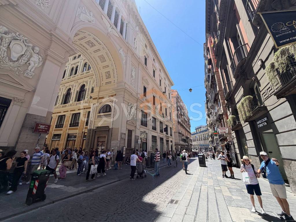 immagine annuncio 6 di 12