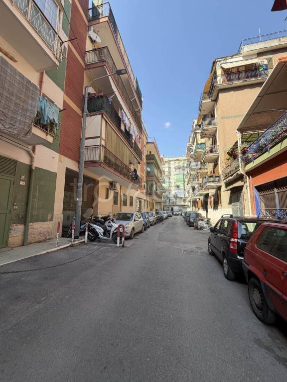 immagine annuncio 3 di 12