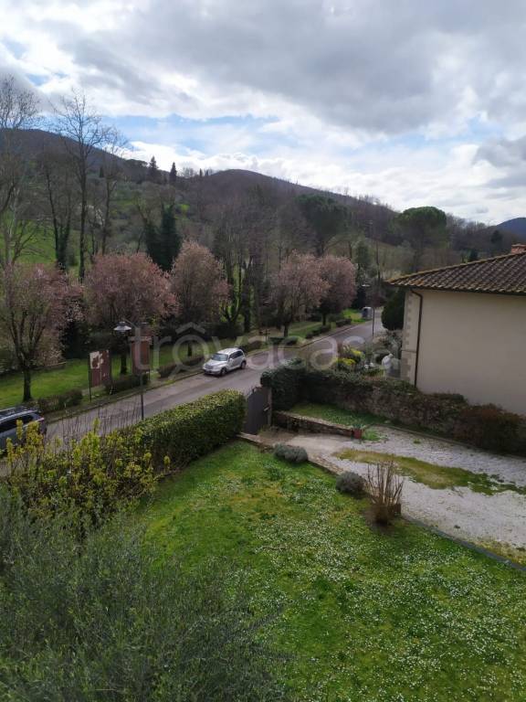 immagine annuncio 8 di 14