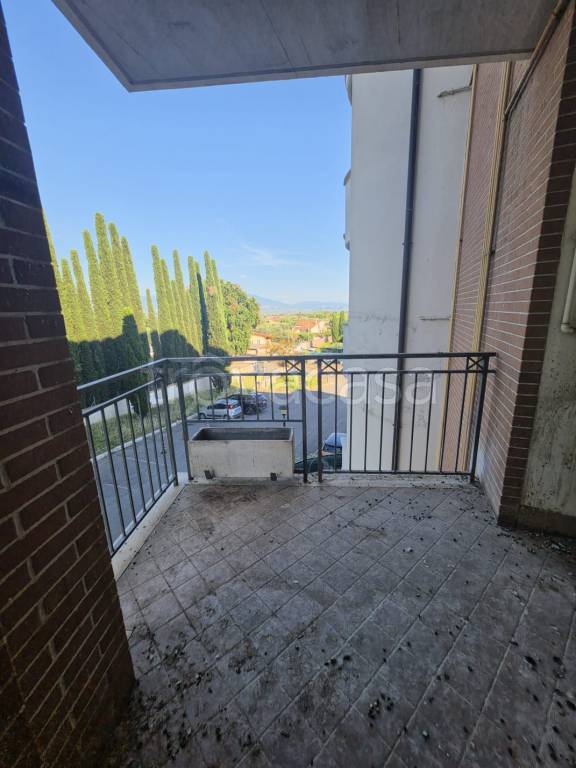 immagine annuncio 5 di 6