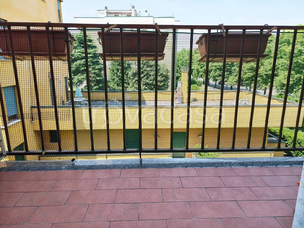 immagine annuncio 5 di 12