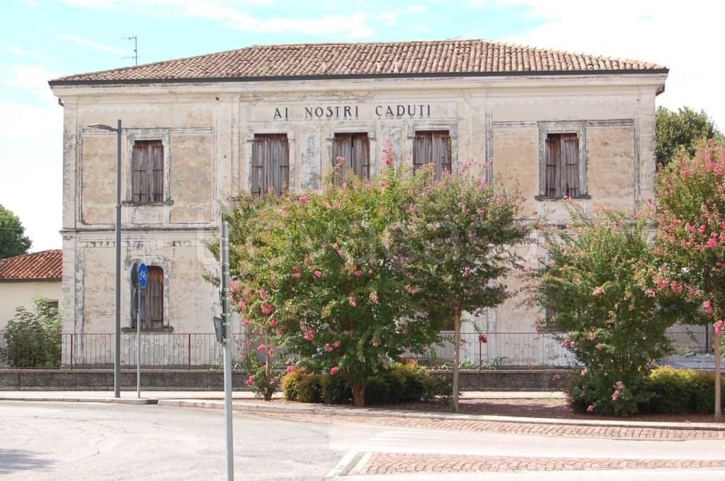 immagine annuncio 4 di 8