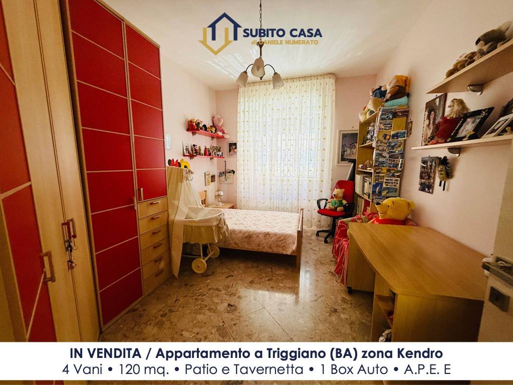 immagine annuncio 9 di 15