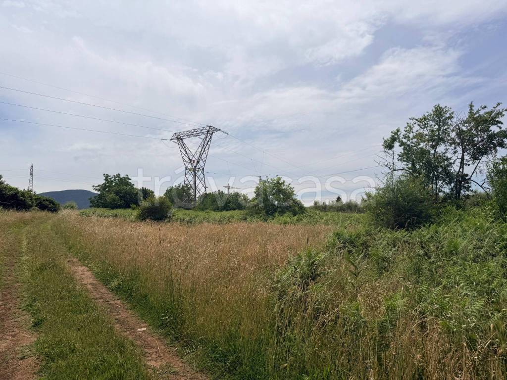 immagine annuncio 9 di 12