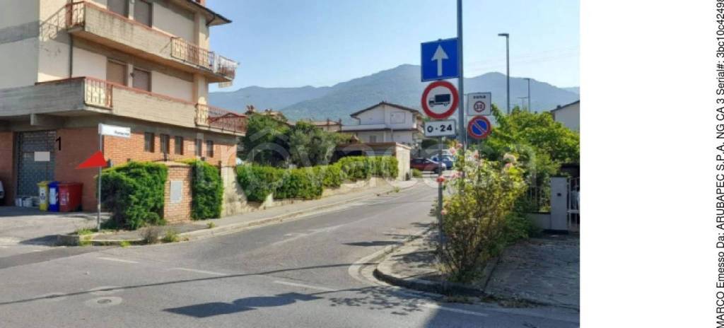 immagine annuncio 2 di 11