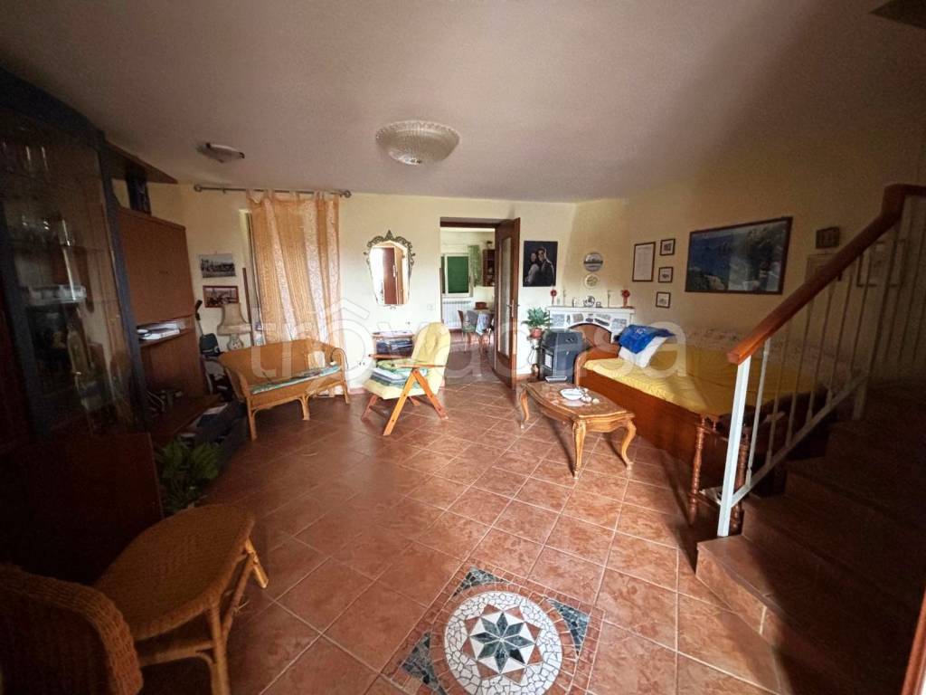 immagine annuncio 5 di 14