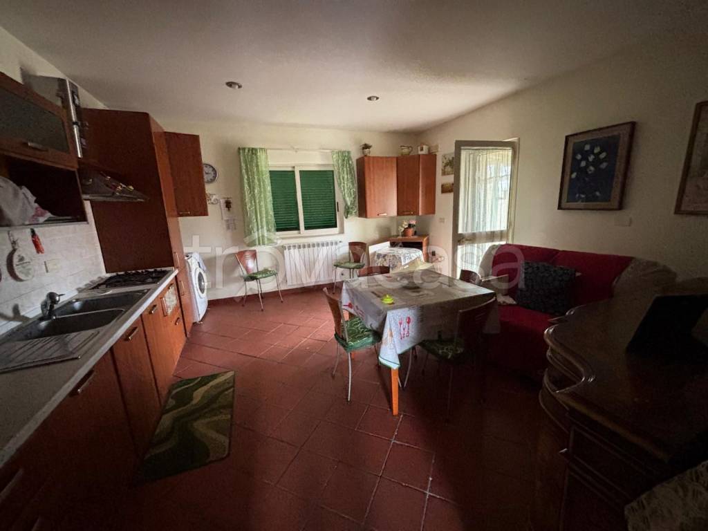 immagine annuncio 6 di 14