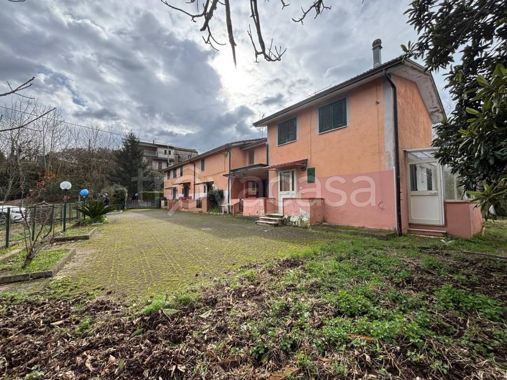 immagine annuncio 4 di 14