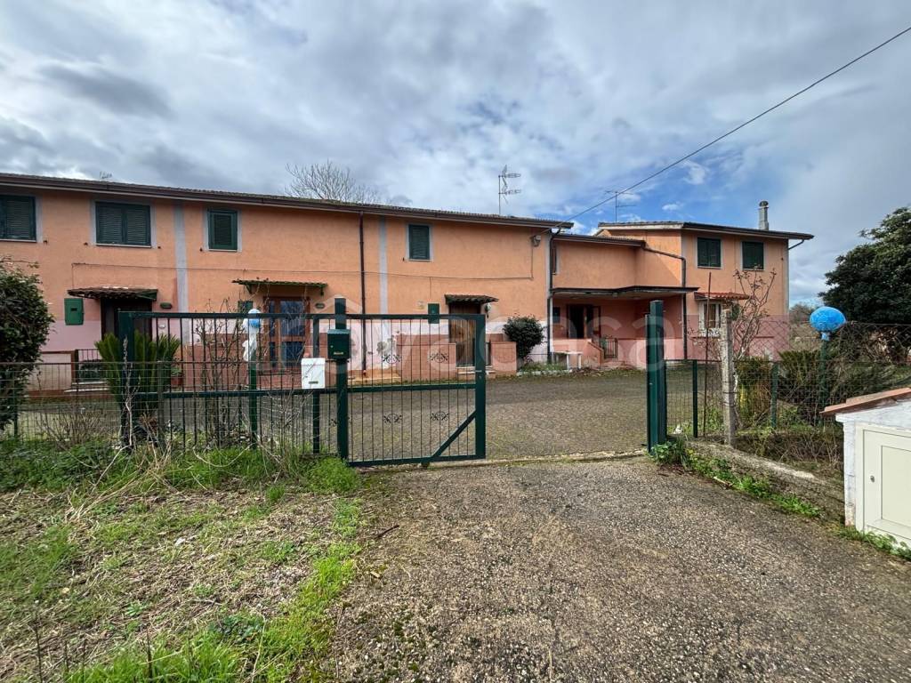 immagine annuncio 3 di 14