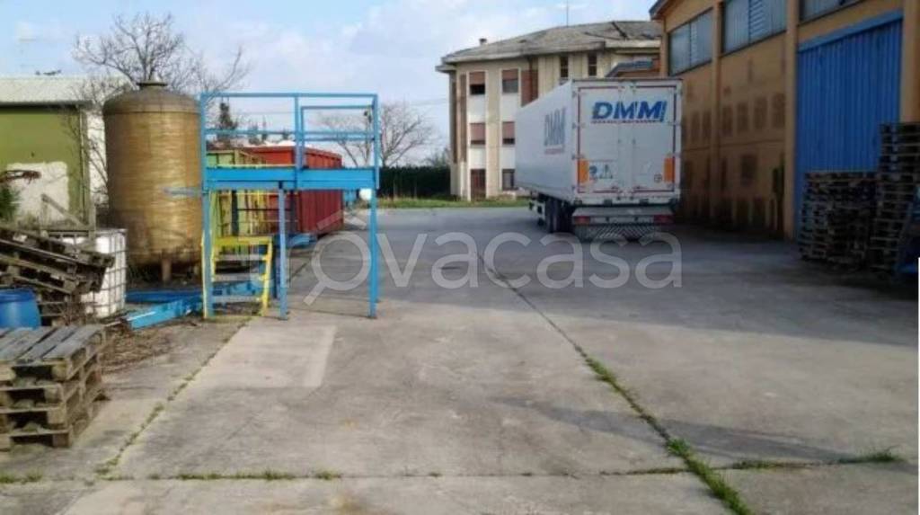 immagine annuncio 6 di 12