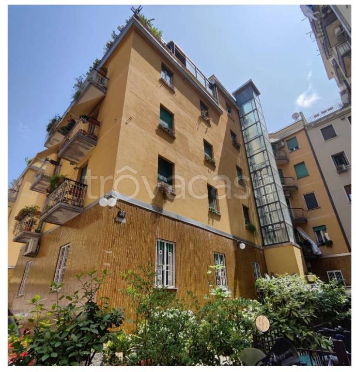 immagine annuncio 1 di 12