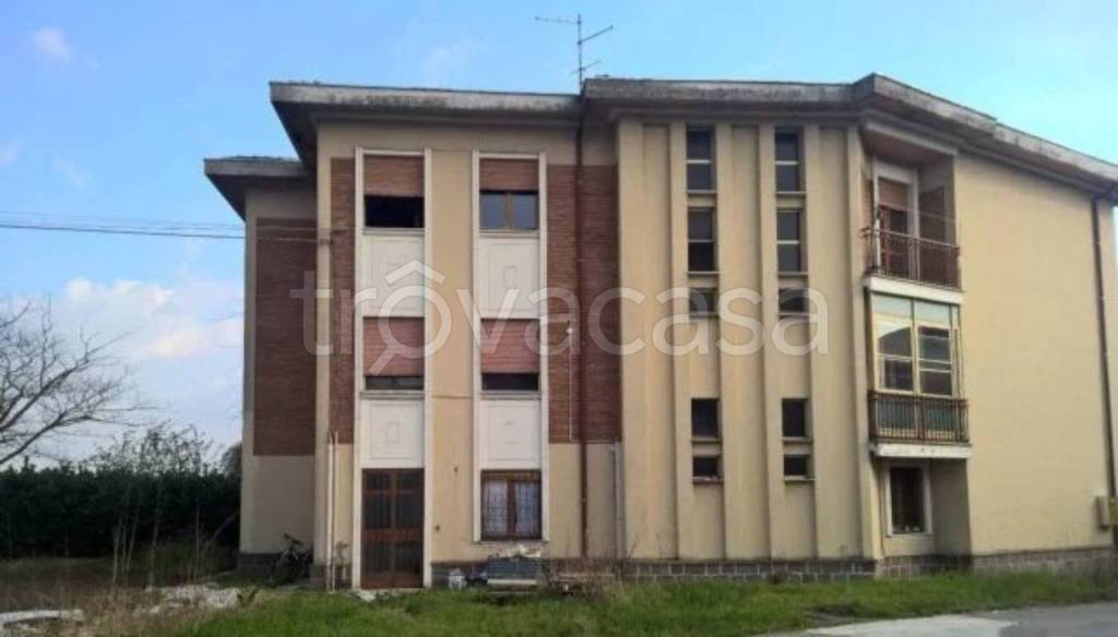 immagine annuncio 3 di 12