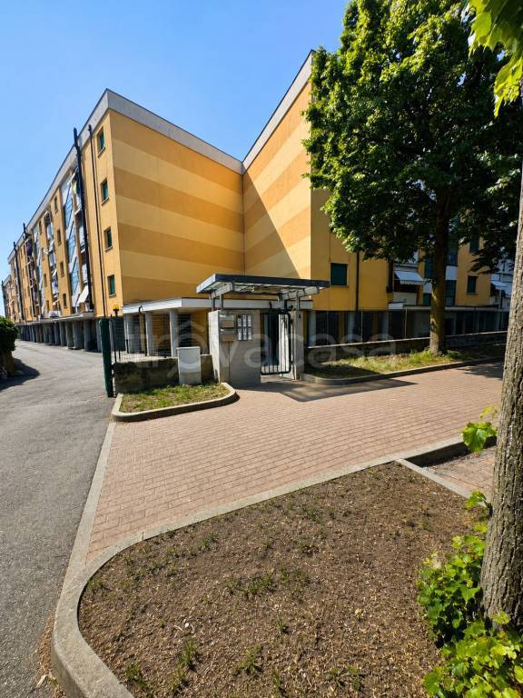 immagine annuncio 4 di 15