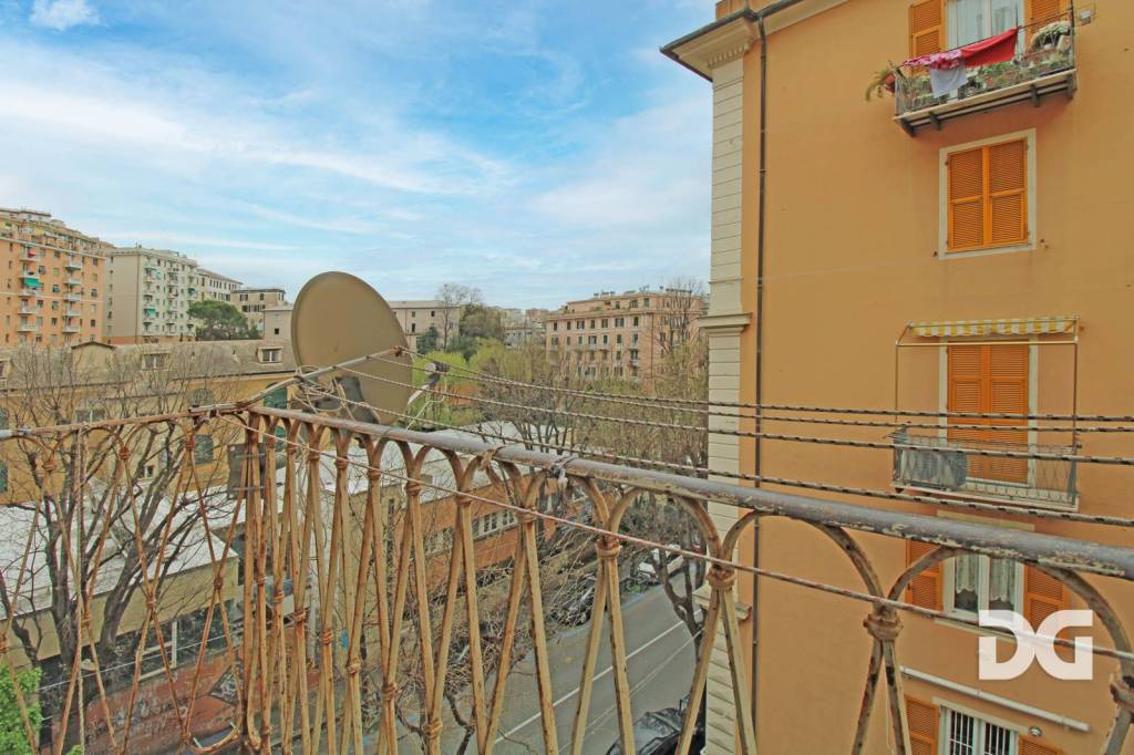 immagine annuncio 10 di 14