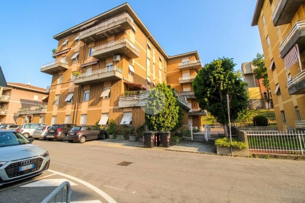 immagine annuncio 11 di 14
