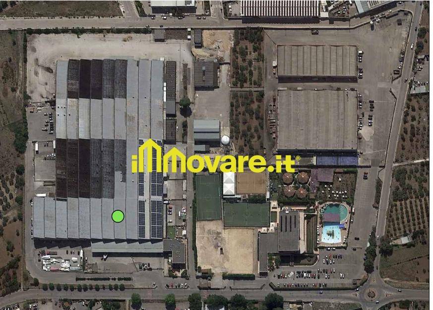 immagine annuncio 5 di 6