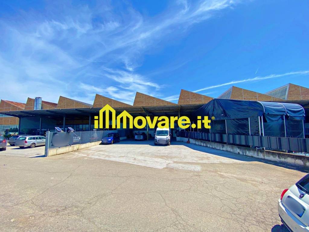 immagine annuncio 1 di 7