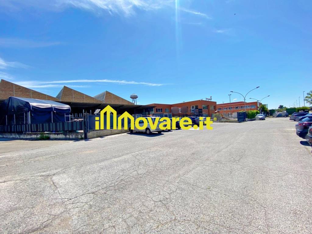immagine annuncio 5 di 7