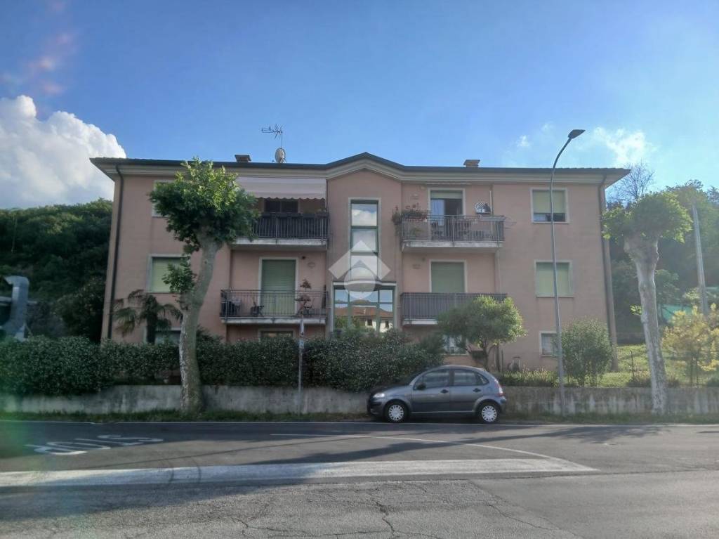 immagine annuncio 12 di 14