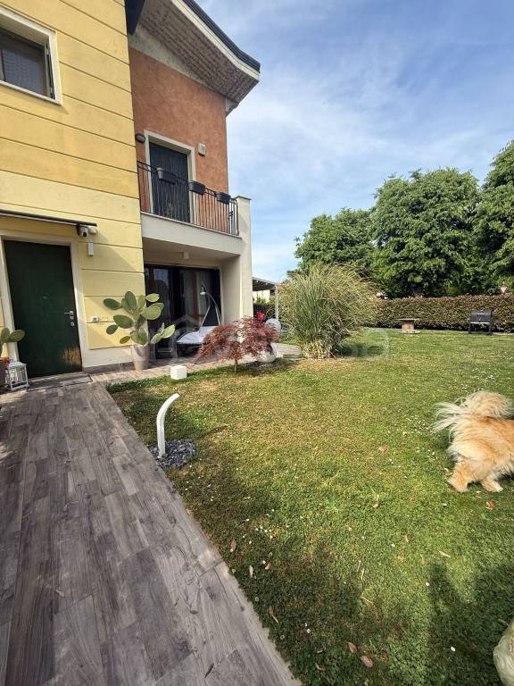 immagine annuncio 5 di 15