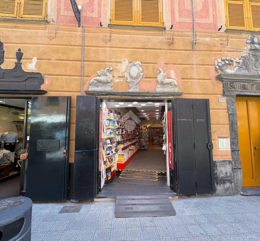 immagine annuncio 1 di 14