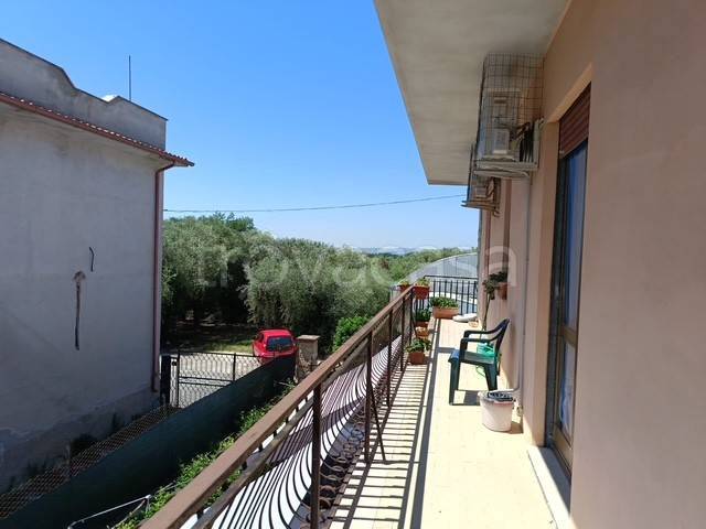 immagine annuncio 7 di 12