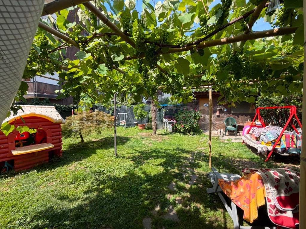 immagine annuncio 11 di 15