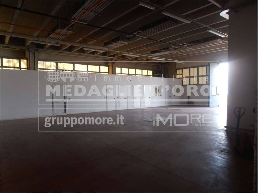 immagine annuncio 6 di 10