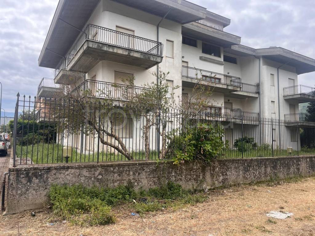immagine annuncio 3 di 11