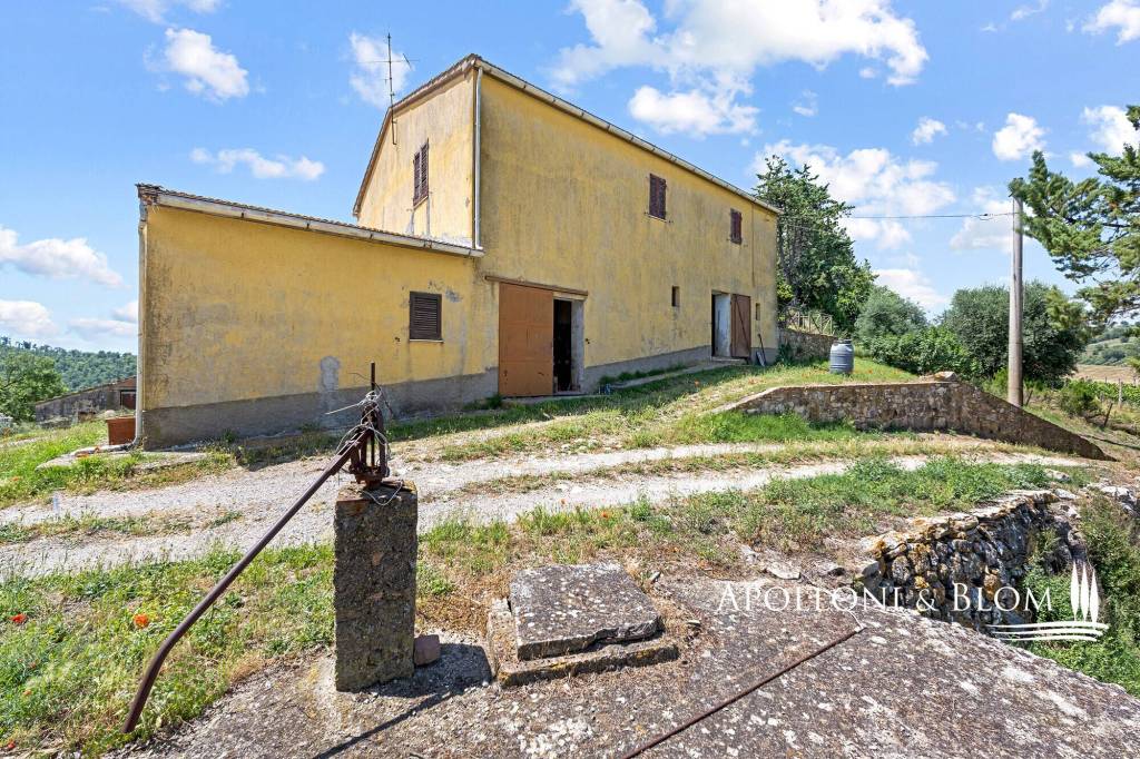 immagine annuncio 5 di 15