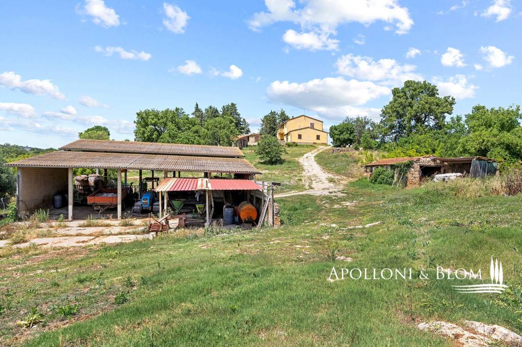 immagine annuncio 12 di 15
