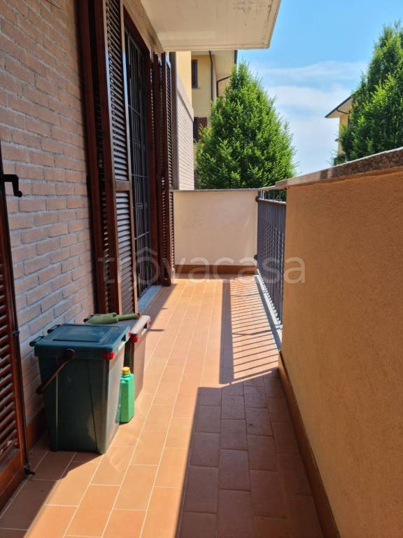 immagine annuncio 7 di 15