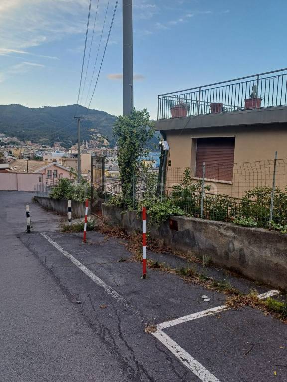 immagine annuncio 12 di 14