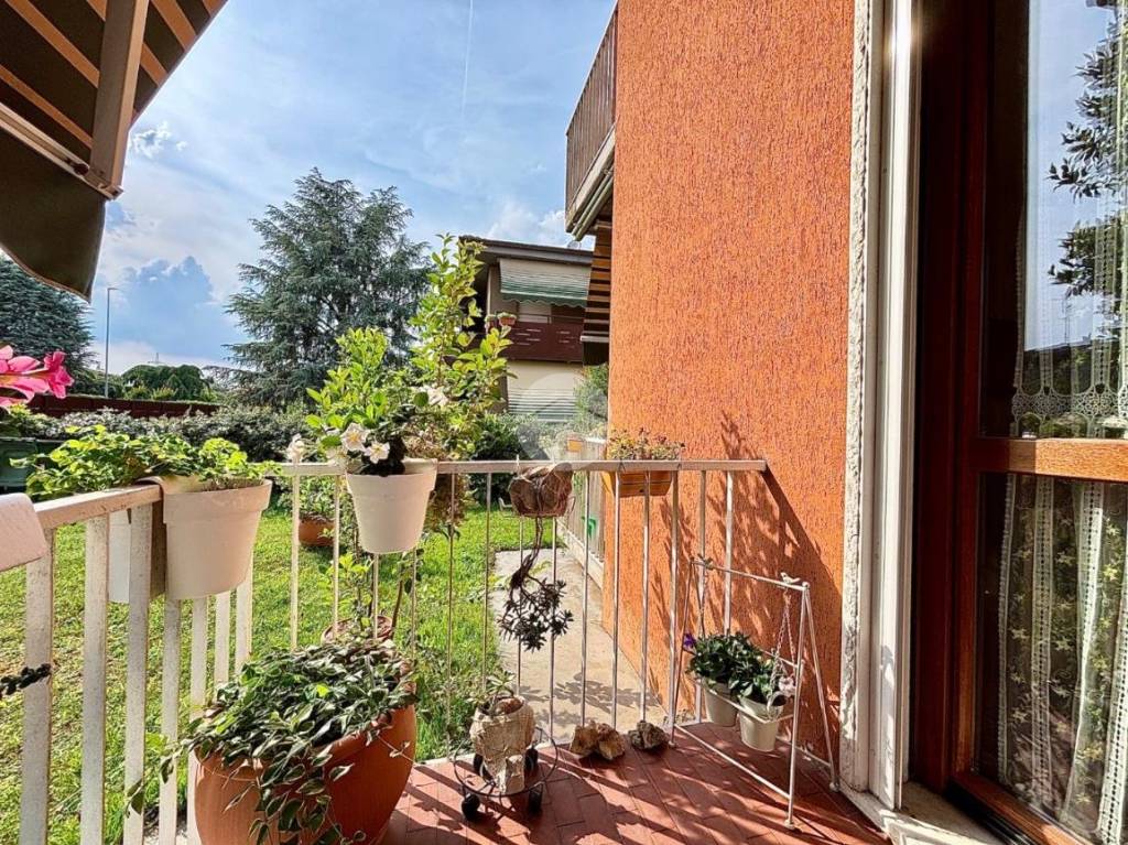 immagine annuncio 5 di 15