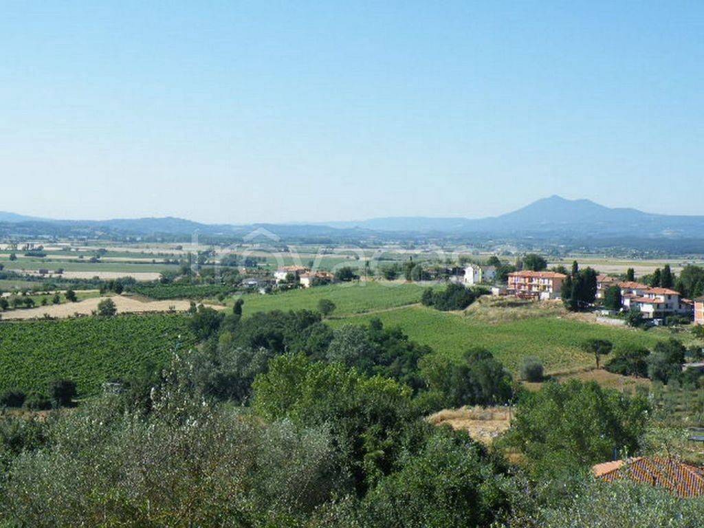 immagine annuncio 4 di 7