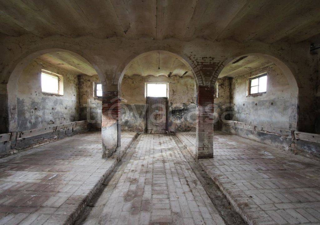immagine annuncio 4 di 13