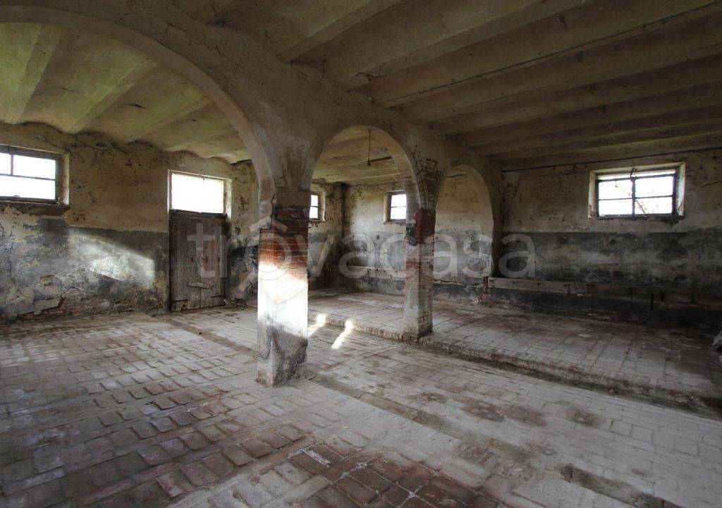immagine annuncio 5 di 13