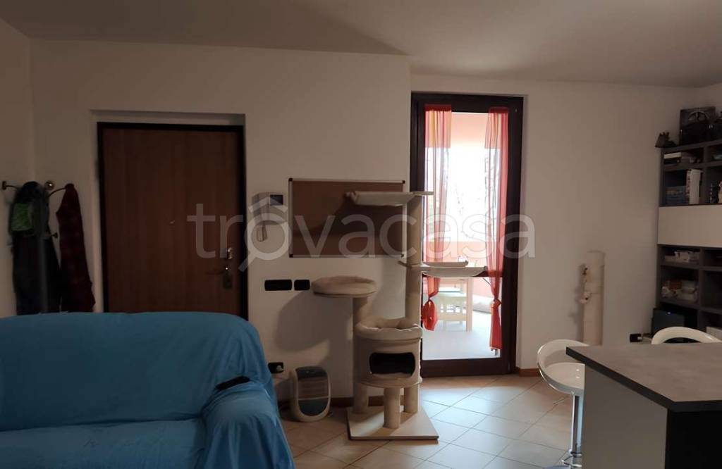 immagine annuncio 1 di 8