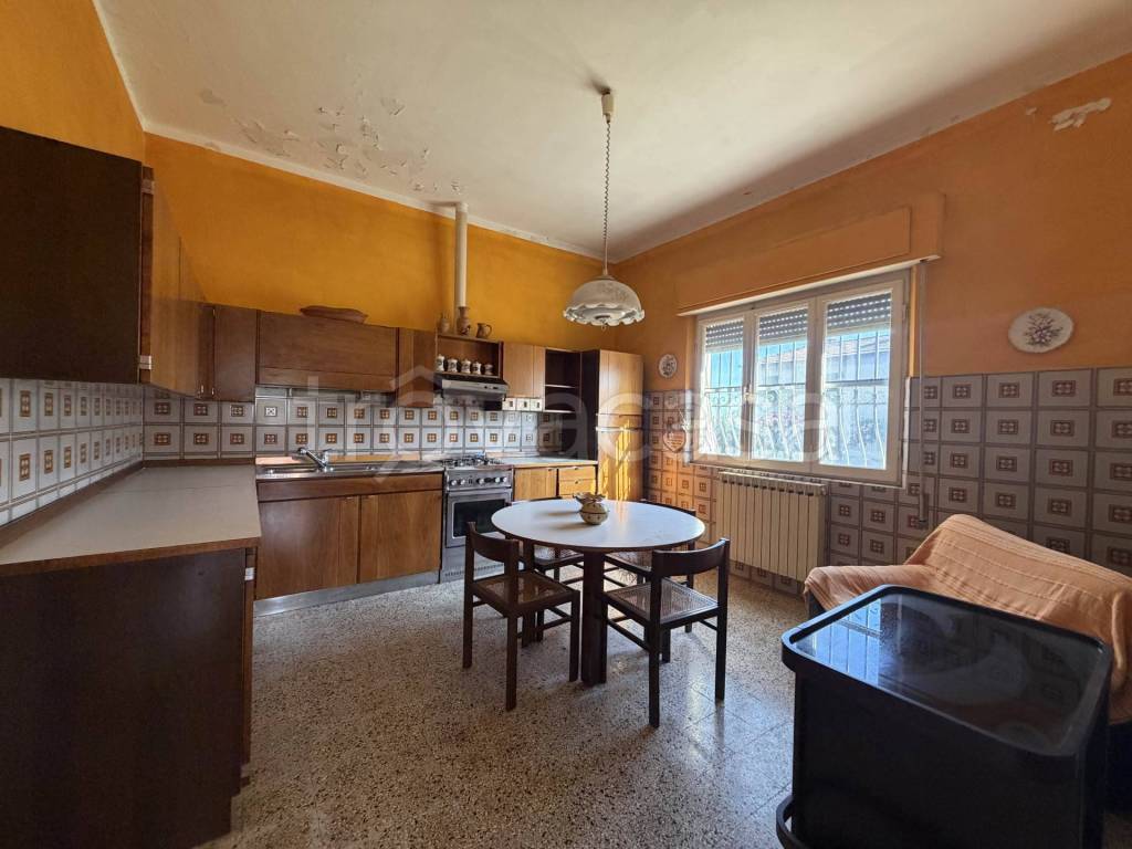 immagine annuncio 3 di 14